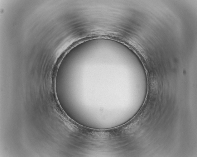 X0000089421023200706291027