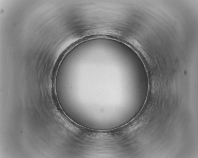 X0000089421024200706291027