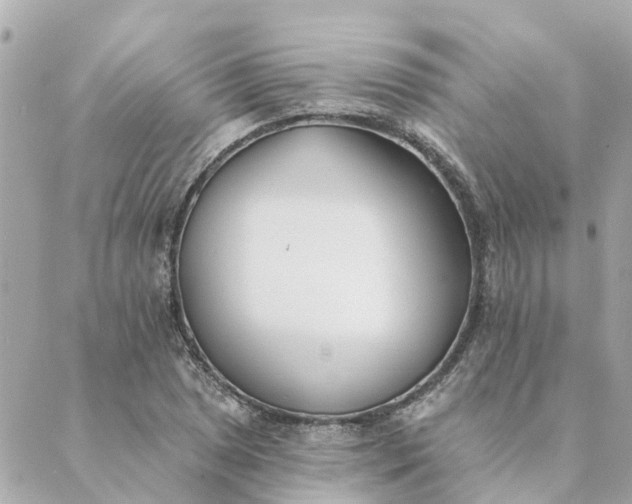 X0000089421025200706291027