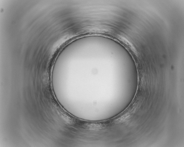 X0000089421027200706291028