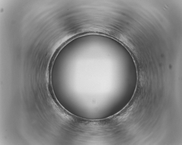 X0000089421028200706291028