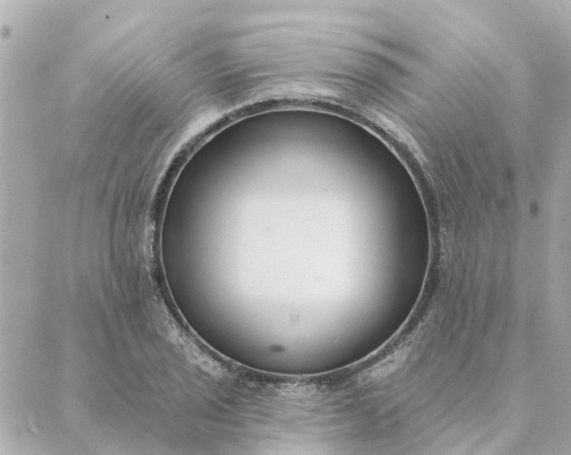 X0000089421029200706291028