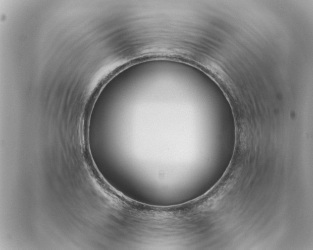 X0000089421030200706291028