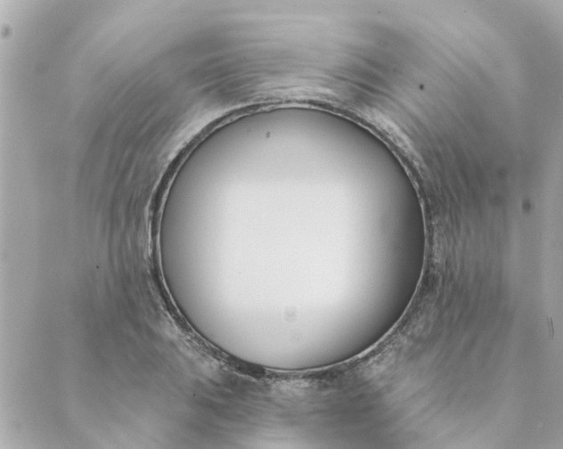 X0000089421031200706291028