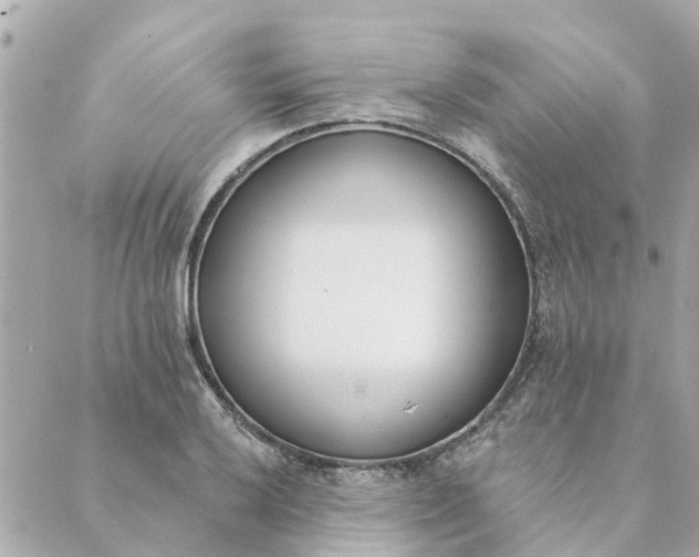 X0000089421032200706291028