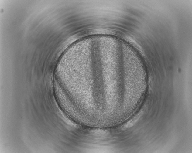 X0000089421033200706291028