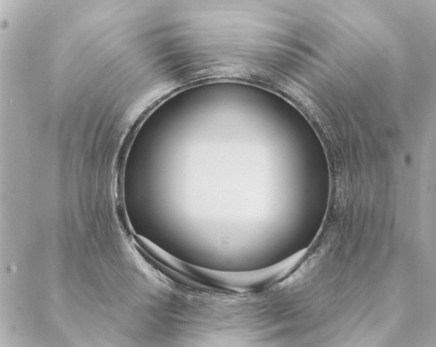 X0000089421034200706291028