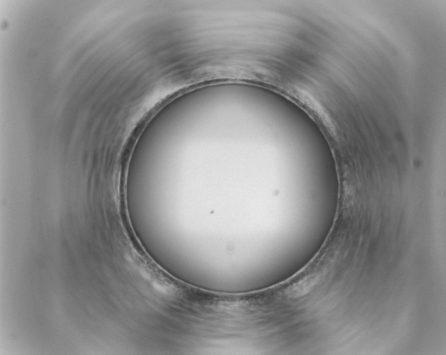 X0000089421035200706291028