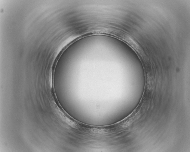 X0000089421036200706291028