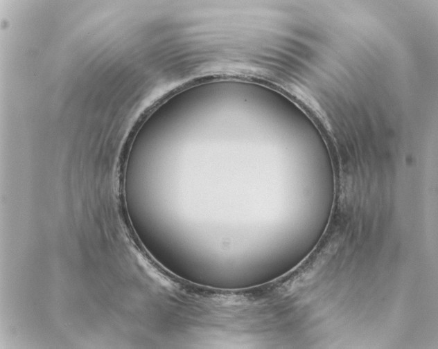 X0000089421037200706291028