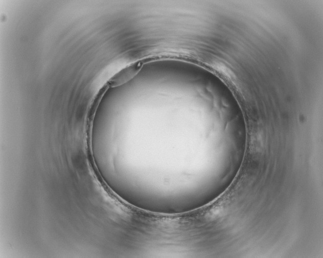 X0000089421038200706291028