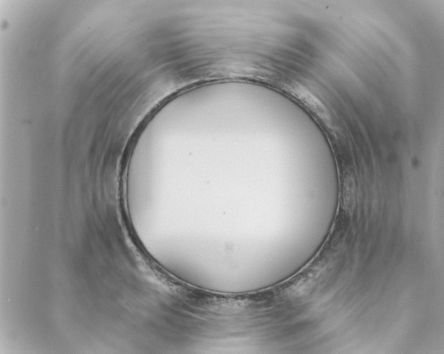 X0000089421039200706291028