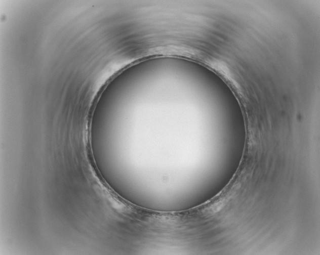 X0000089421040200706291028