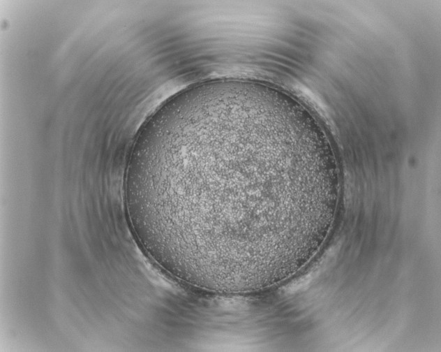 X0000089421041200706291028