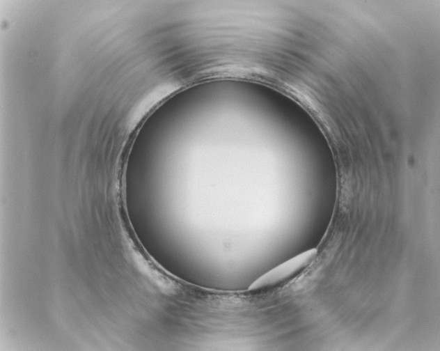 X0000089421042200706291028