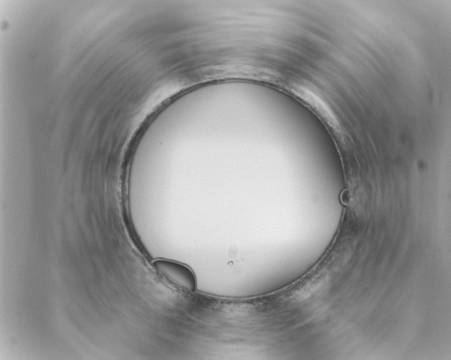 X0000089421043200706291028