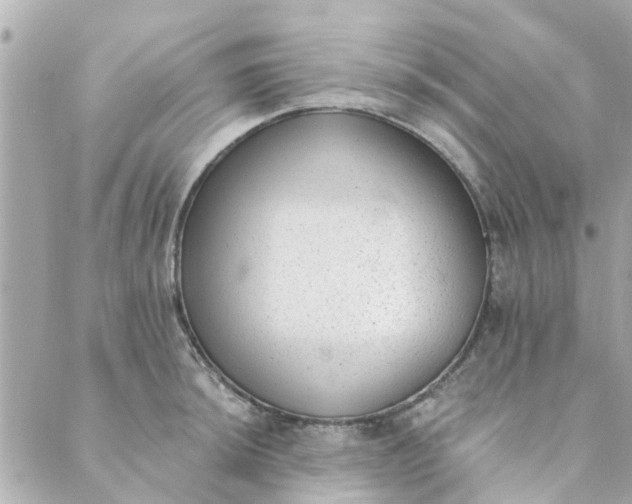 X0000089421044200706291028