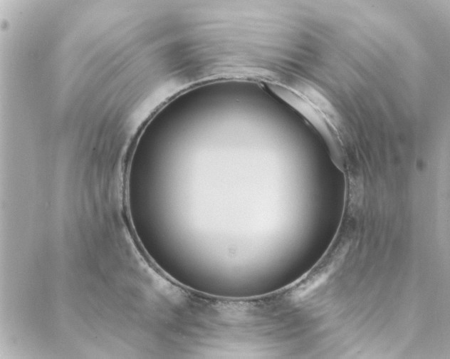 X0000089421046200706291028