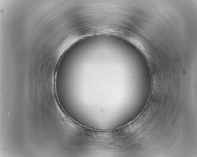 X0000089421047200706291028