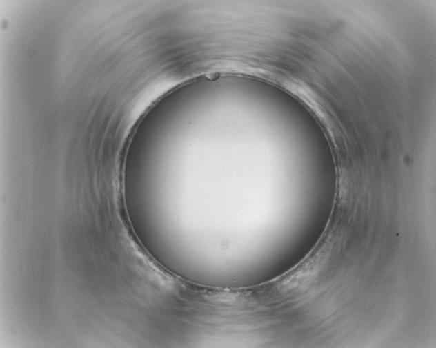 X0000089421048200706291028