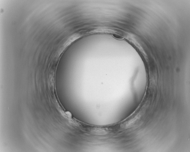 X0000089421049200706291028