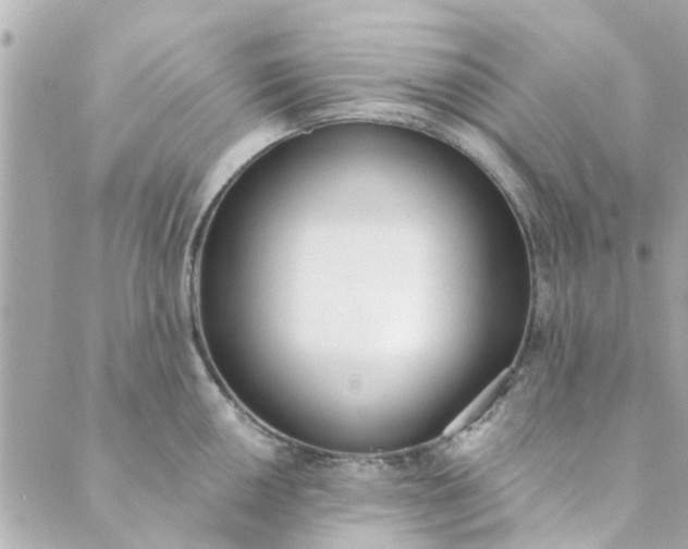 X0000089421050200706291028