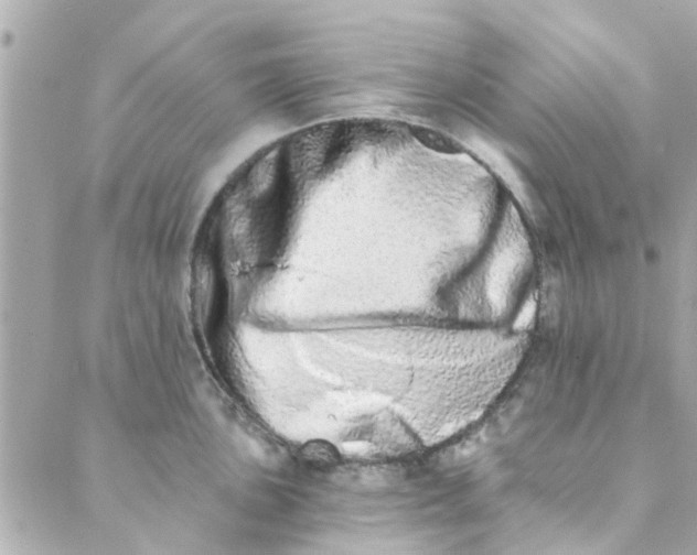 X0000089421051200706291028