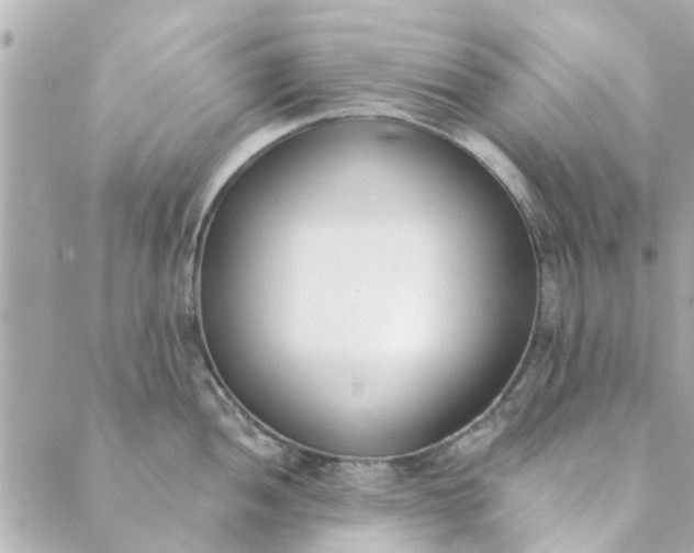 X0000089421052200706291028