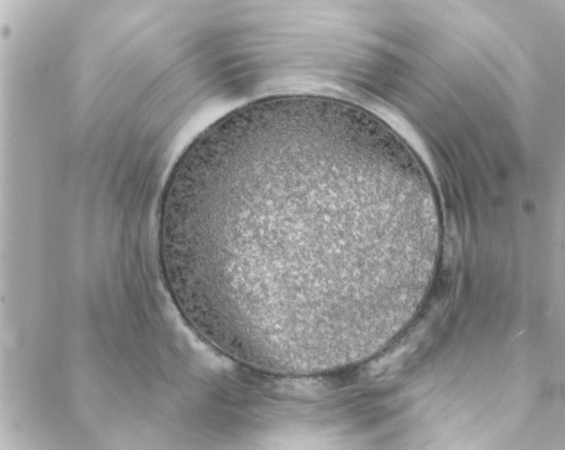 X0000089421053200706291028