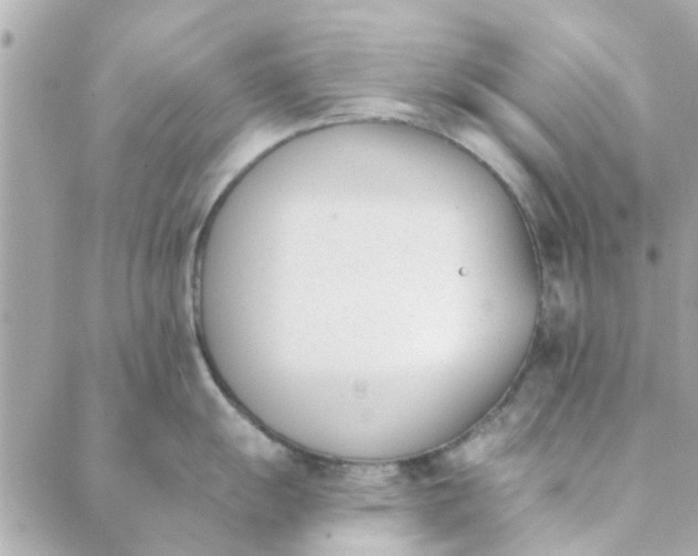 X0000089421055200706291028