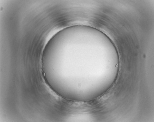 X0000089421056200706291028