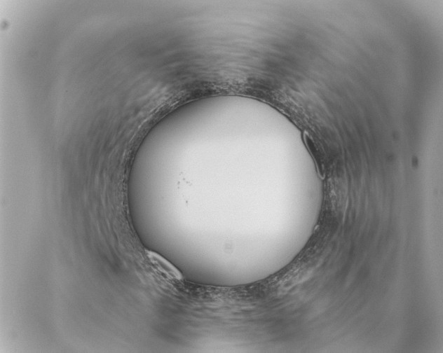 X0000089421057200706291027