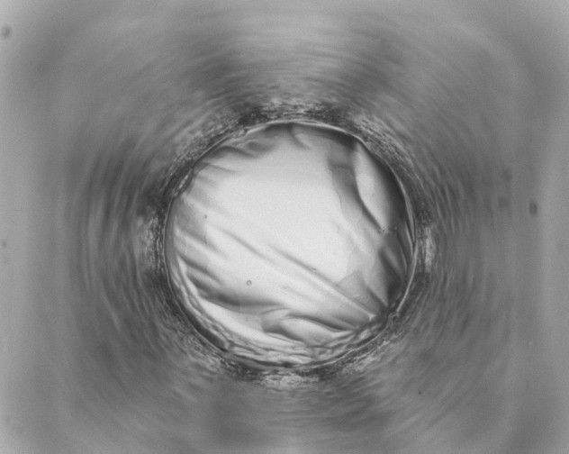 X0000089421059200706291027