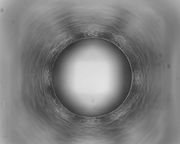 X0000089421060200706291027