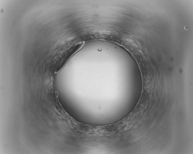 X0000089421061200706291027