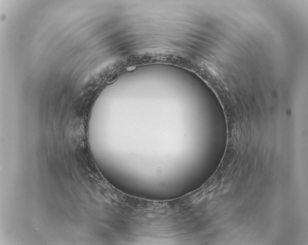 X0000089421062200706291027