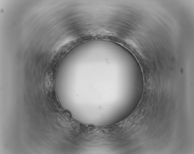 X0000089421063200706291027