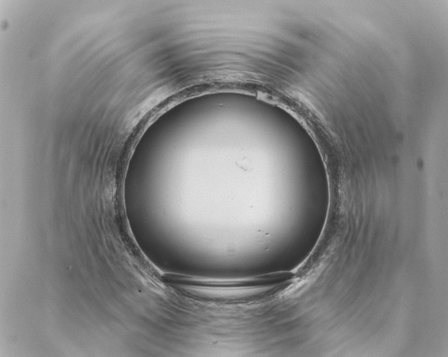 X0000089421065200706291027