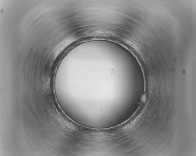 X0000089421066200706291027