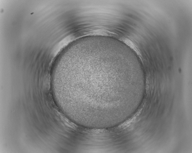 X0000089421067200706291027