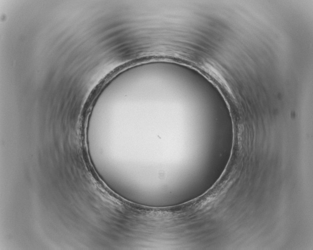 X0000089421068200706291027