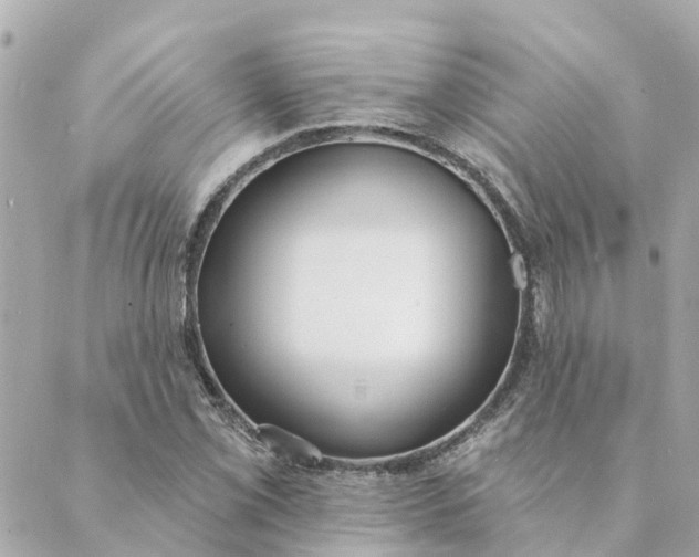 X0000089421069200706291027