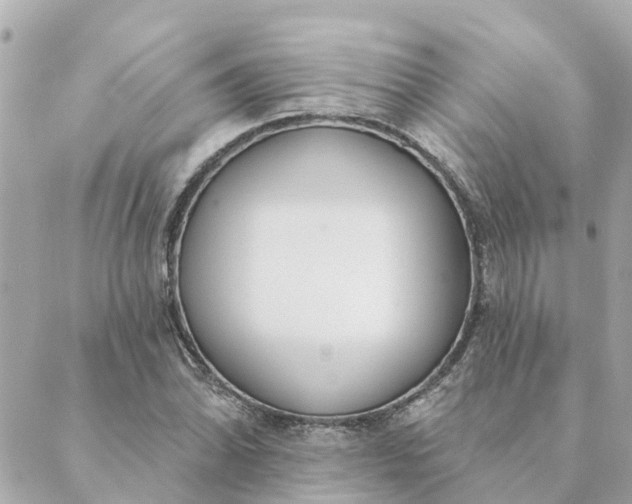 X0000089421070200706291027