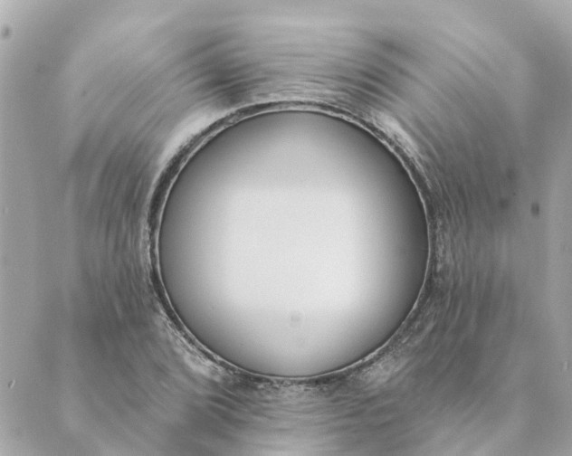 X0000089421072200706291027