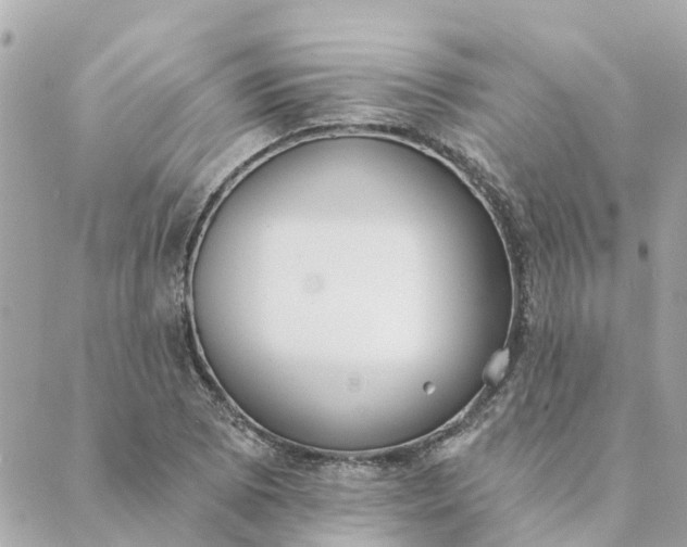 X0000089421073200706291027