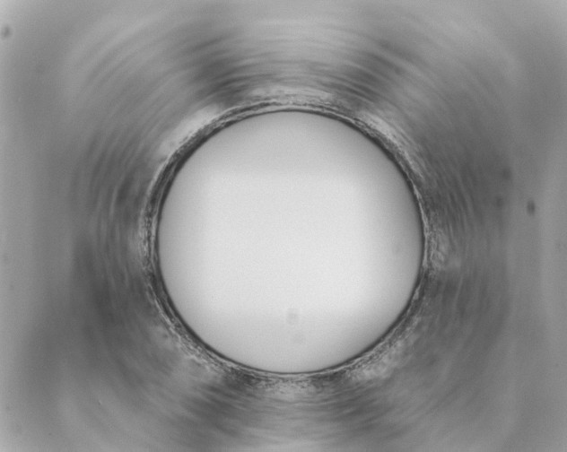 X0000089421074200706291027