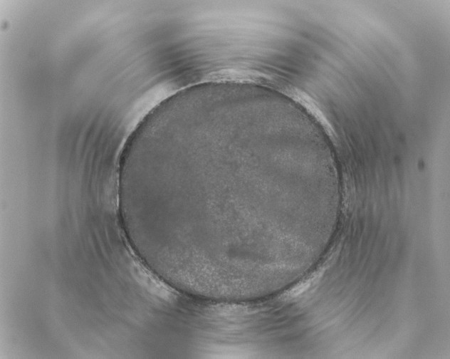 X0000089421075200706291027