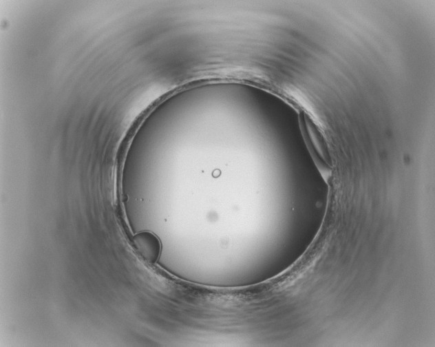 X0000089421079200706291027