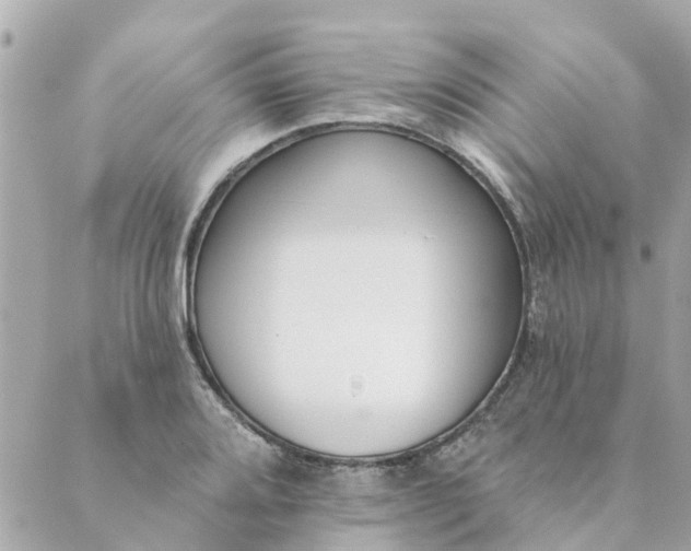 X0000089421080200706291027