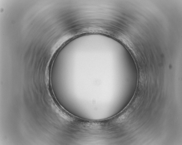 X0000089421082200706291027